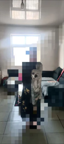 Elegant Lotus Dream photo review